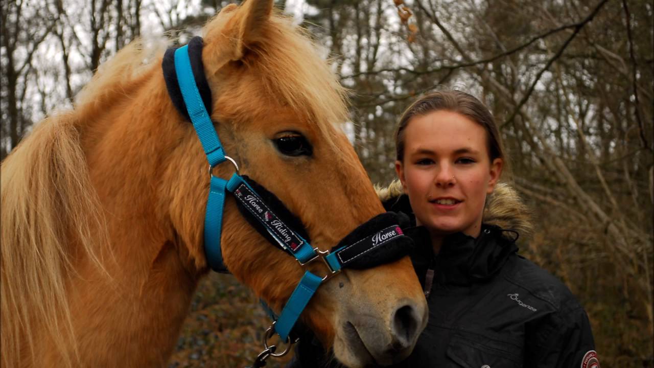 Les cavali&egrave;res de la brearderie