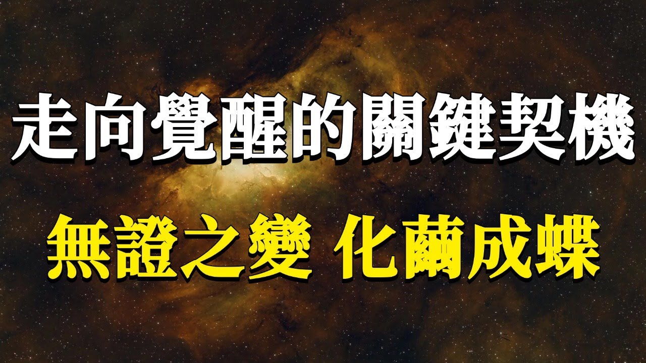 為何你離覺醒總是差一點距離？走向覺醒的關鍵契機！無證之變，化繭成蝶！