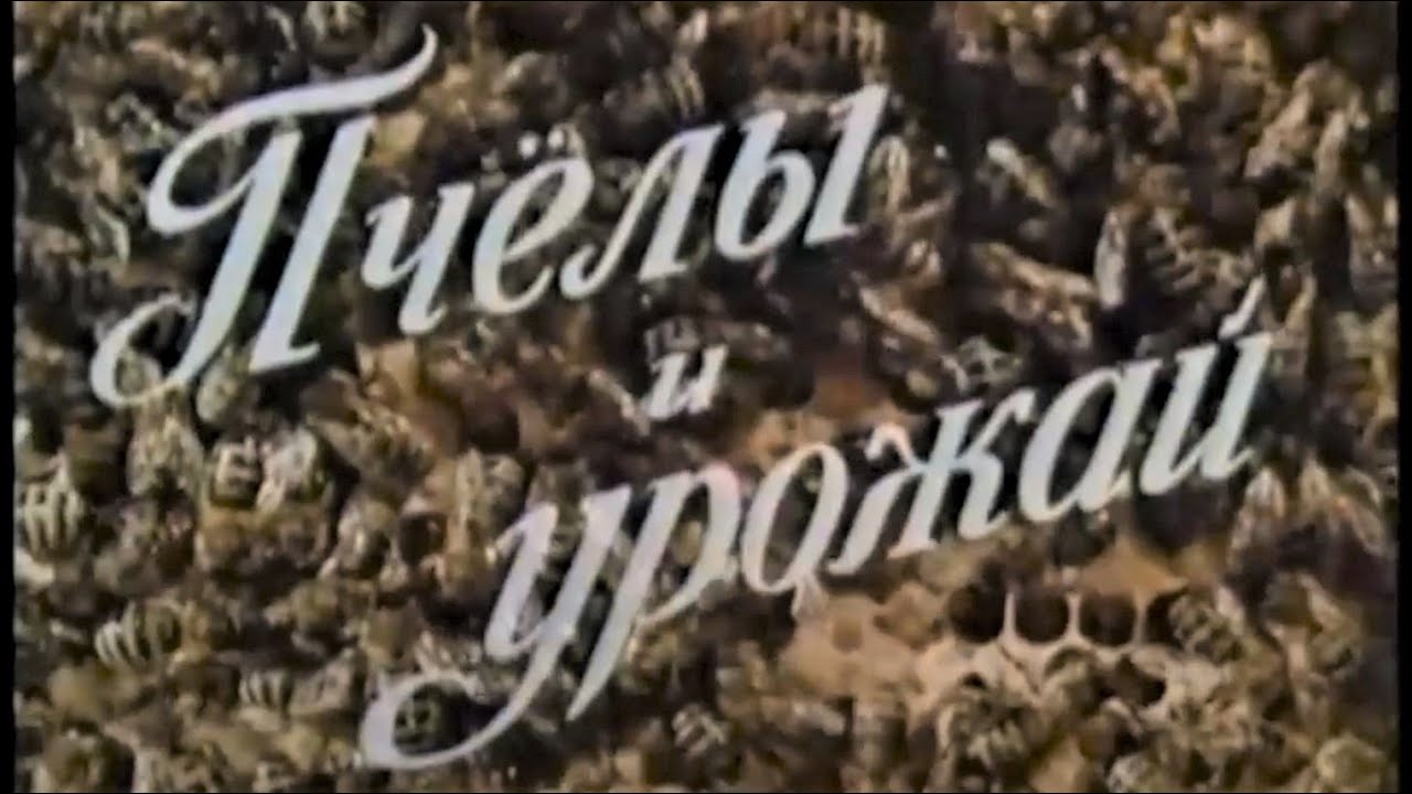 Пчёлы и урожай. Фильм СССР