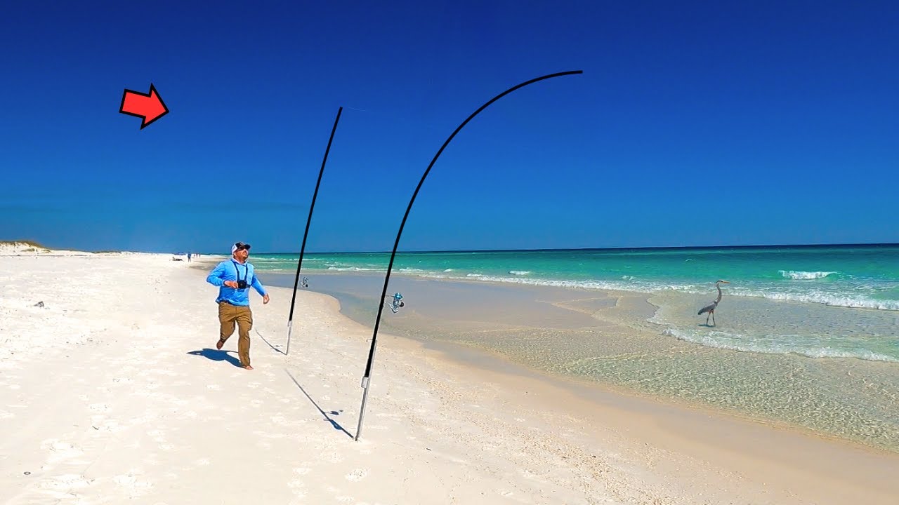 Surf Fishing a Deep Hole off the Beach and Caught This!
