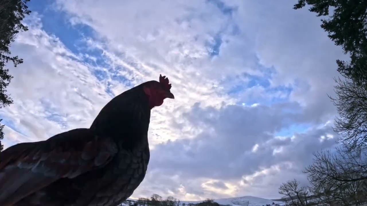 Gydhros sky 