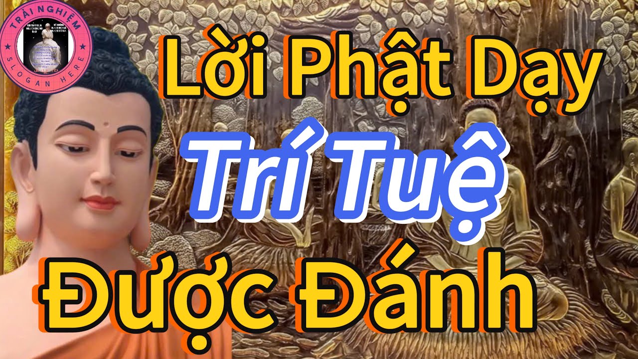 Phật Dạy Trí Tuệ Được Đánh Thức Trong Mỗi Người 