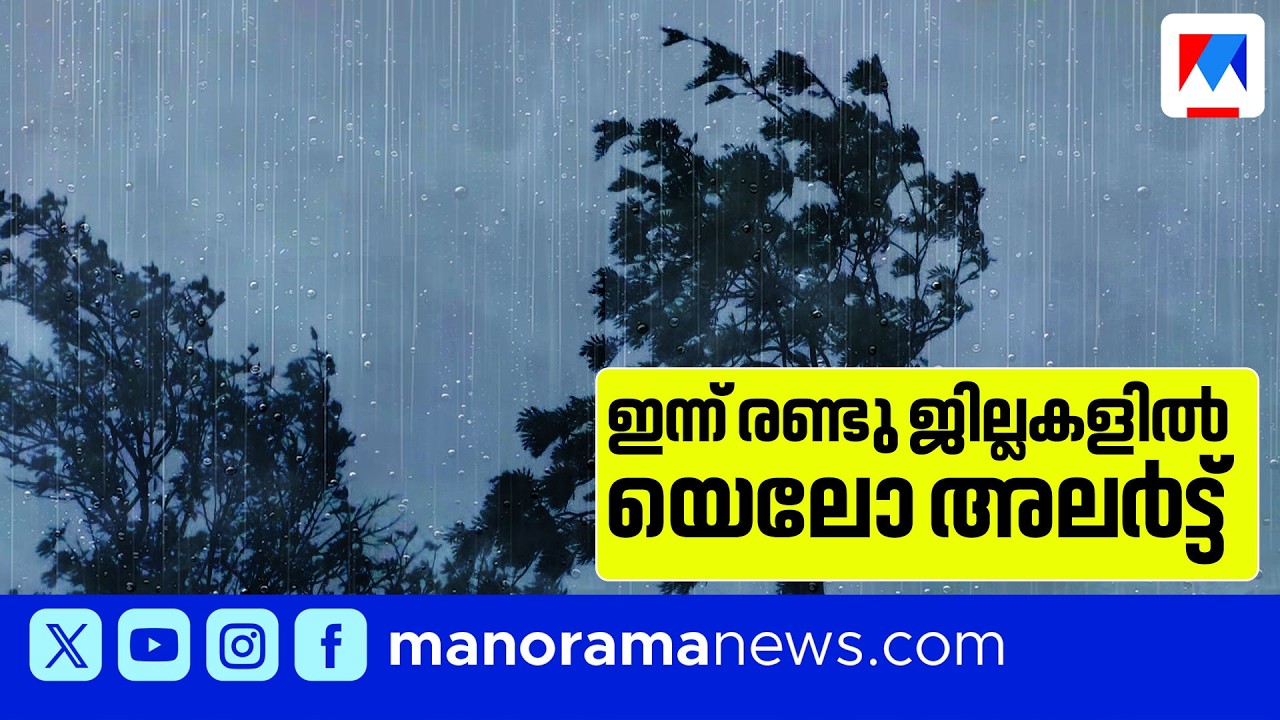 മഴ മുന്നറിയിപ്പ്; പത്തനംതിട്ടയിലും കോട്ടയത്തും യെല്ലോ അലർട്ട് | Rain Alert | Keralam Rains