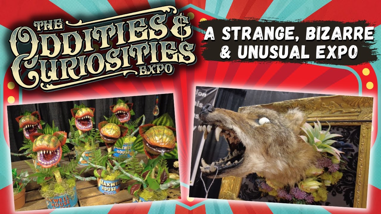 ODDITIES & CURIOSITIES EXPO | SAN DIEGO 2023 - A Strange, Bizarre & Unusual Expo