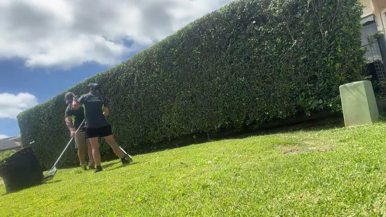 From messy to neat , Perfect hedge trim
