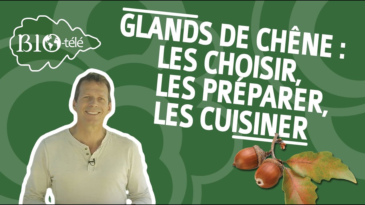 GLANDS DE CH&Ecirc;NE : LES CHOISIR, LES PR&Eacute;PARER, LES CUISINER