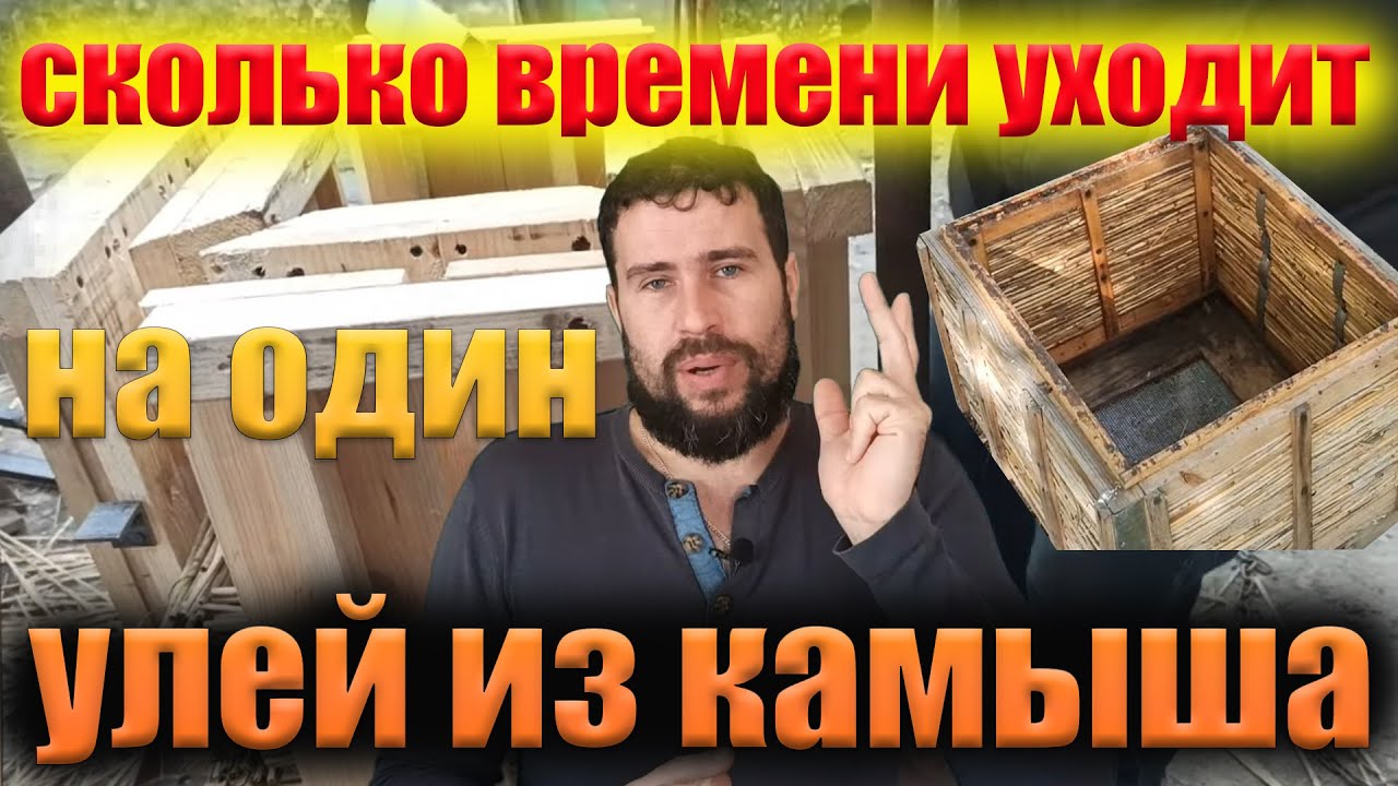 Сколько времени уходит для создания улья из камыша