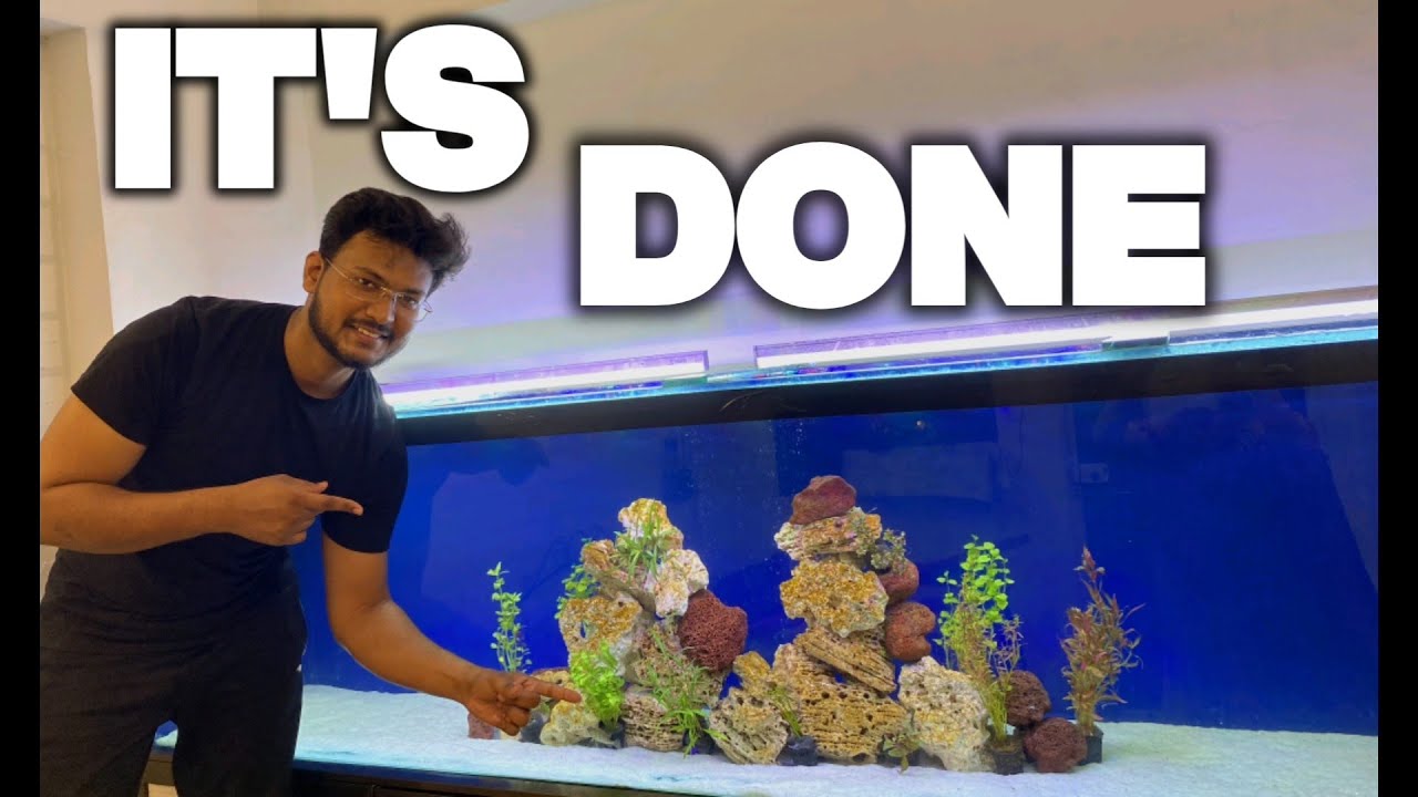 BEST VERSION OF MY 8FT TANK