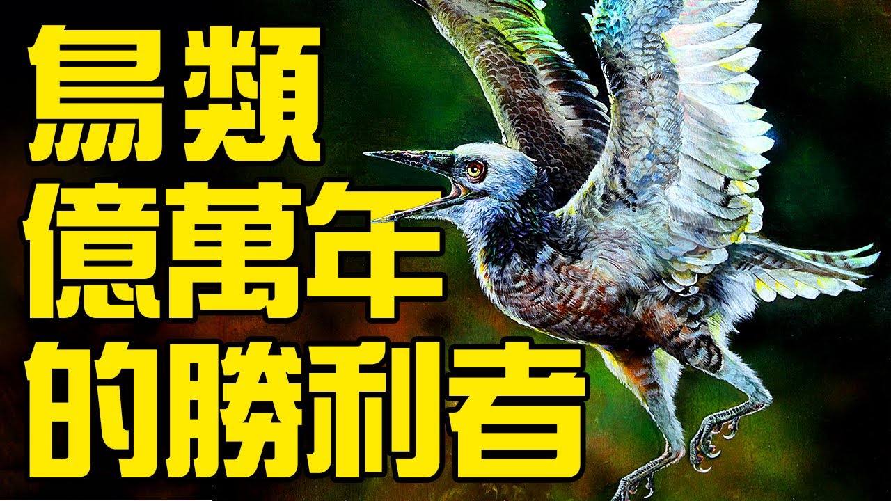 現代鳥類的祖先是如何在億萬年的競爭中勝出的？為什麼恐龍和古鳥類都滅絕了？丨鳥翼類04丨恐龍時代