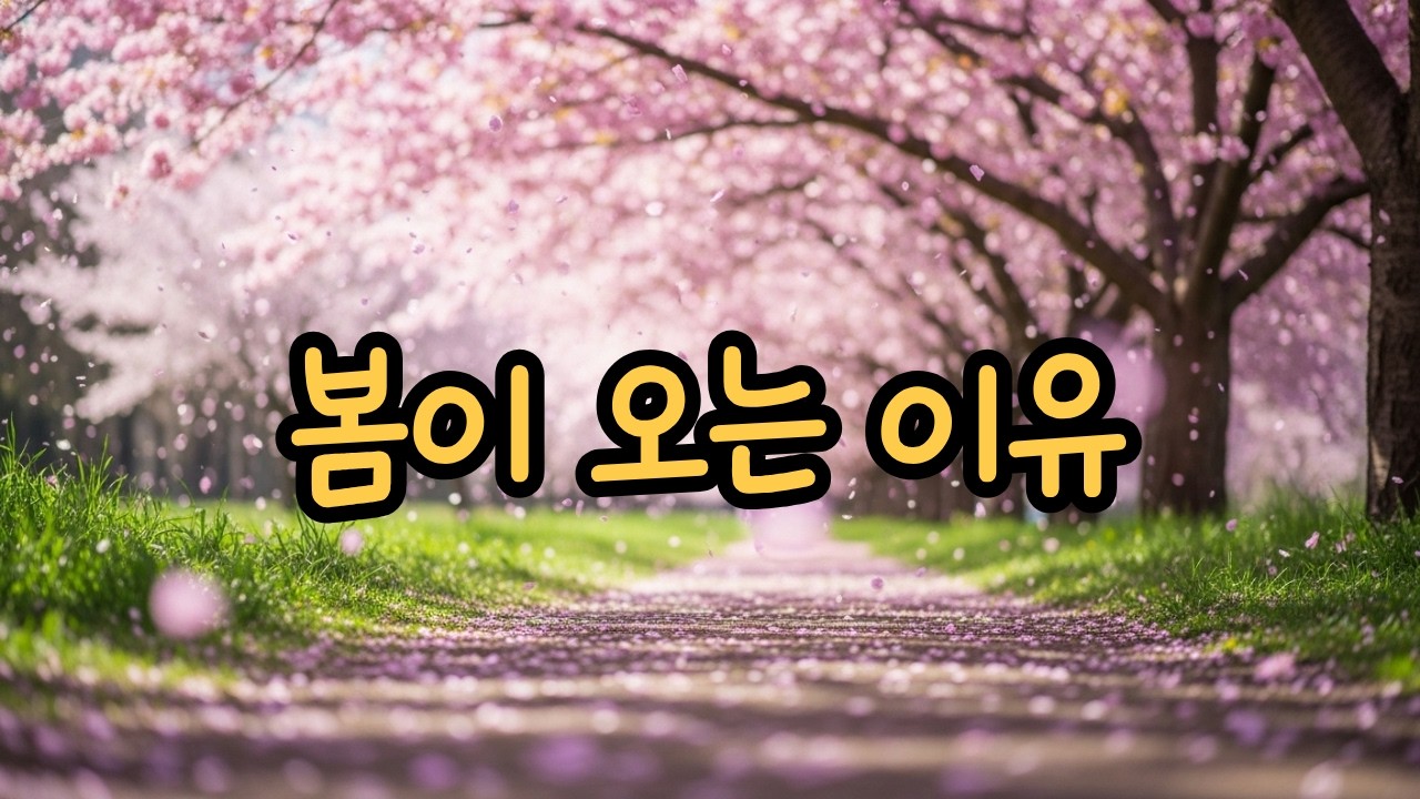 Mumu - 봄이 오는 이유 | Official Audio | Lyrics