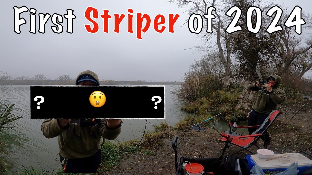 Sacramento River January Striper Fishing 2024- Deep Water Channel