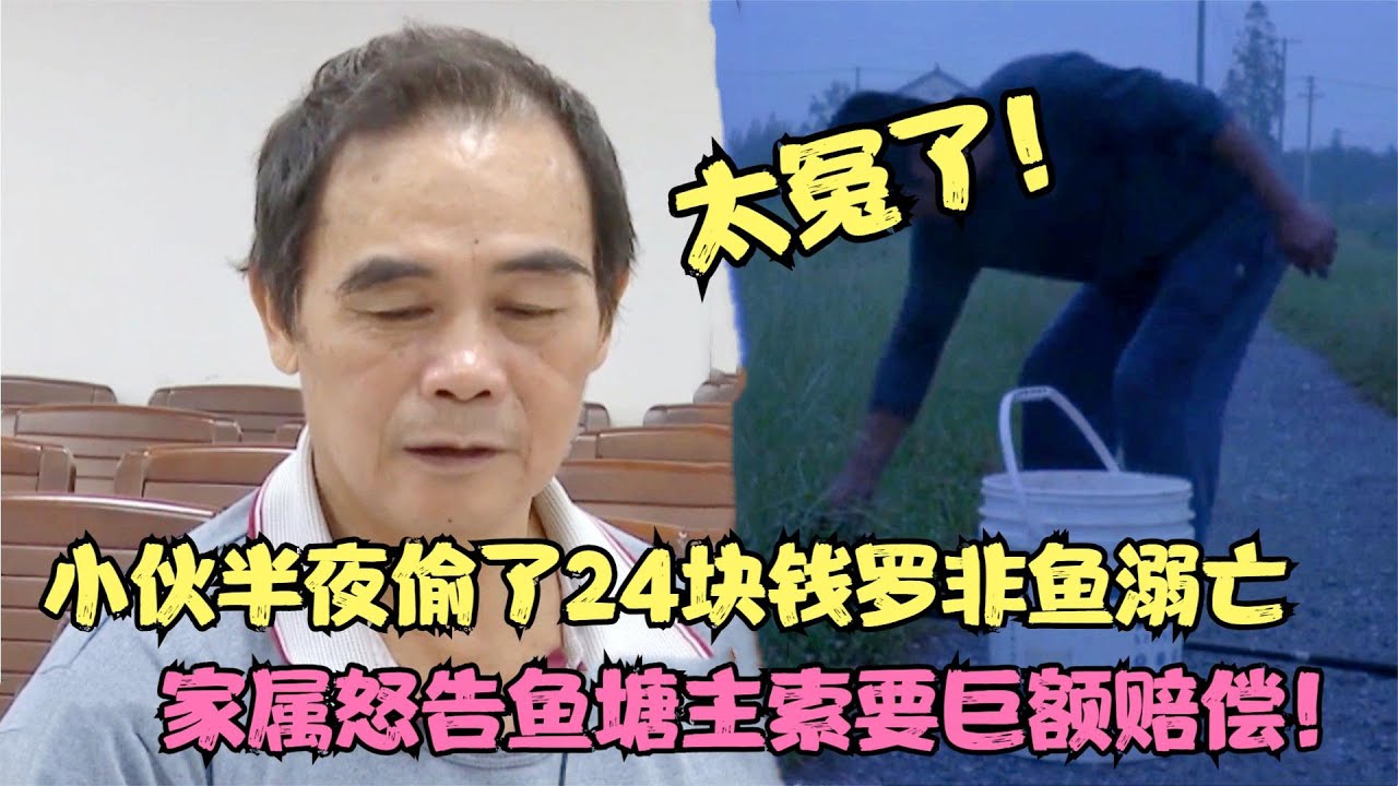 小偷半夜偷两条罗非鱼，不慎溺水逝世，鱼塘主：我把鱼赔给你吧！【多米侃剧】