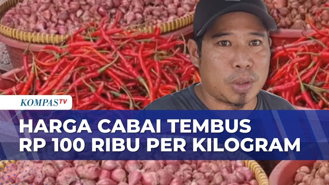 Harga Cabai Makin Pedas! Sentuh Rp 100 Ribu Per Kilogram Jelang Nataru | SAPA PAGI