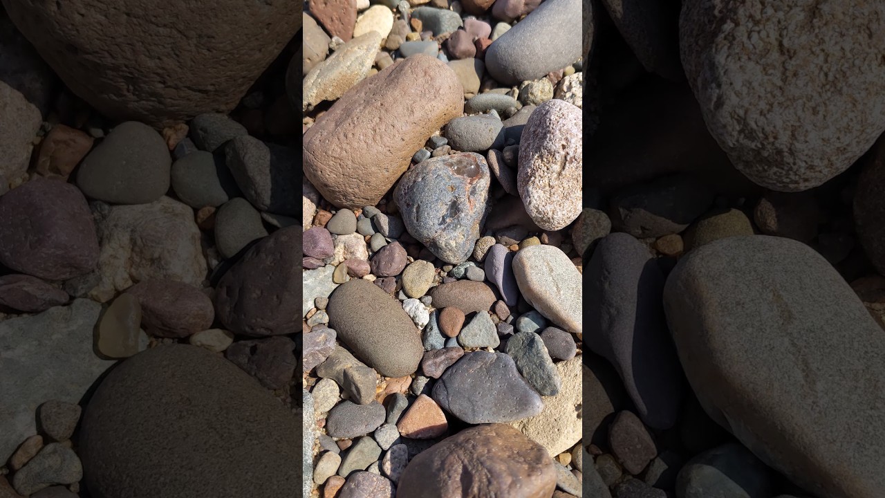 Agate Hunting Tips - Dark Nodule #agate #rockhounding #beachcombing #rocks #nature #geology #shorts