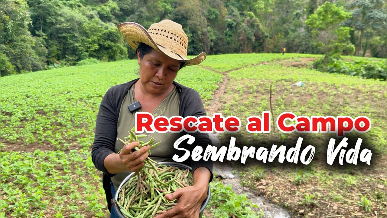 Rescate al Campo - Sembrando Vida