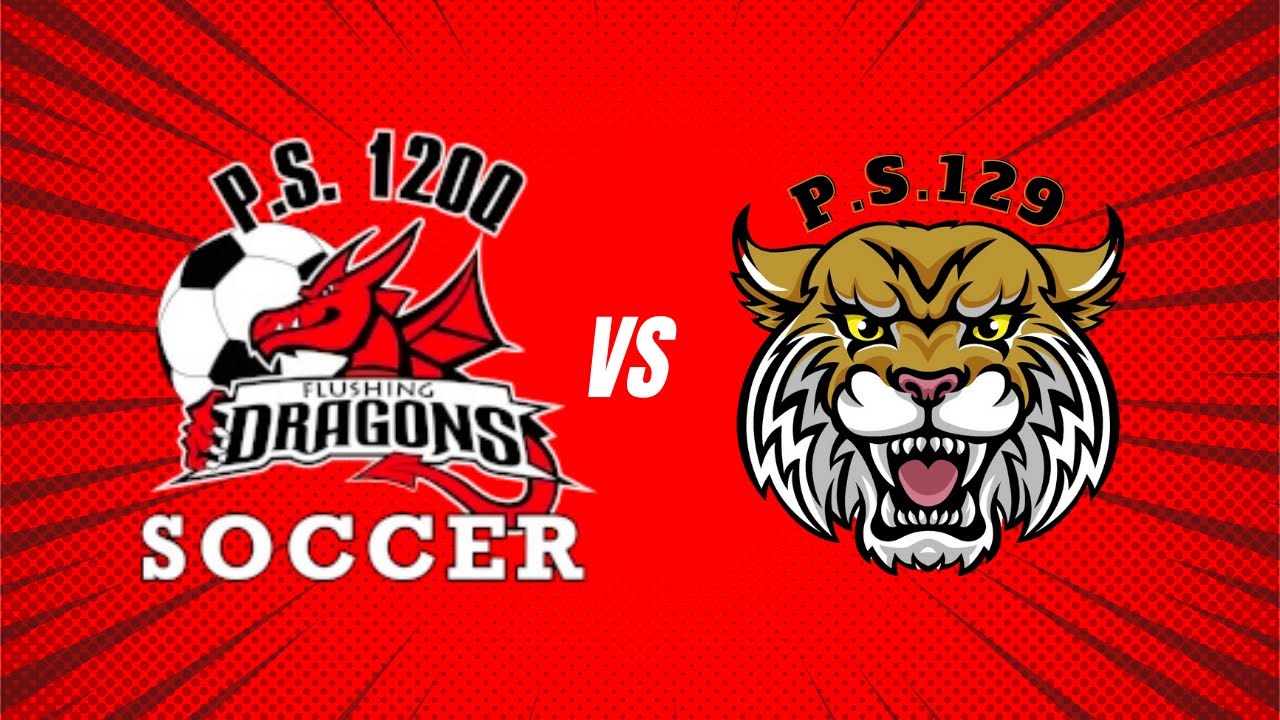 P.S. 120 vs P.S. 129 Coed Soccer Game