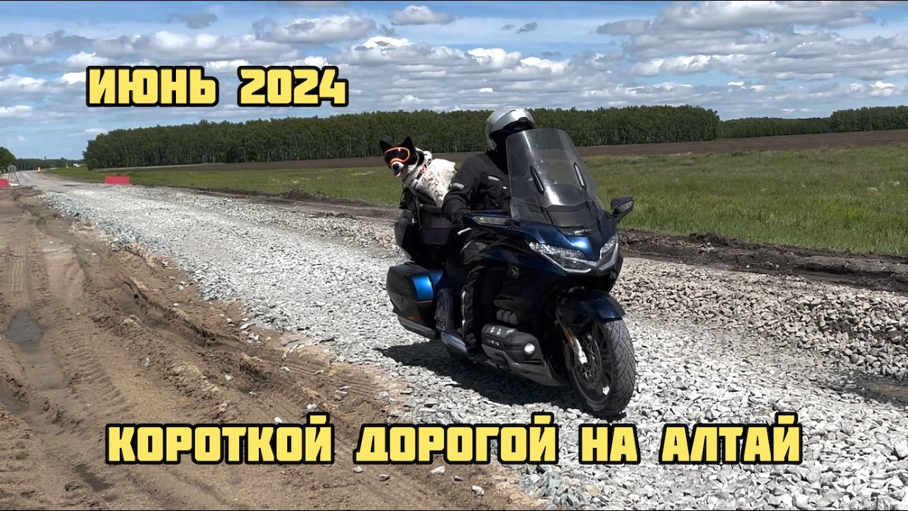 Короткая дорога на Алтай | МОТОПУТЕШЕСТВИЕ с собакой