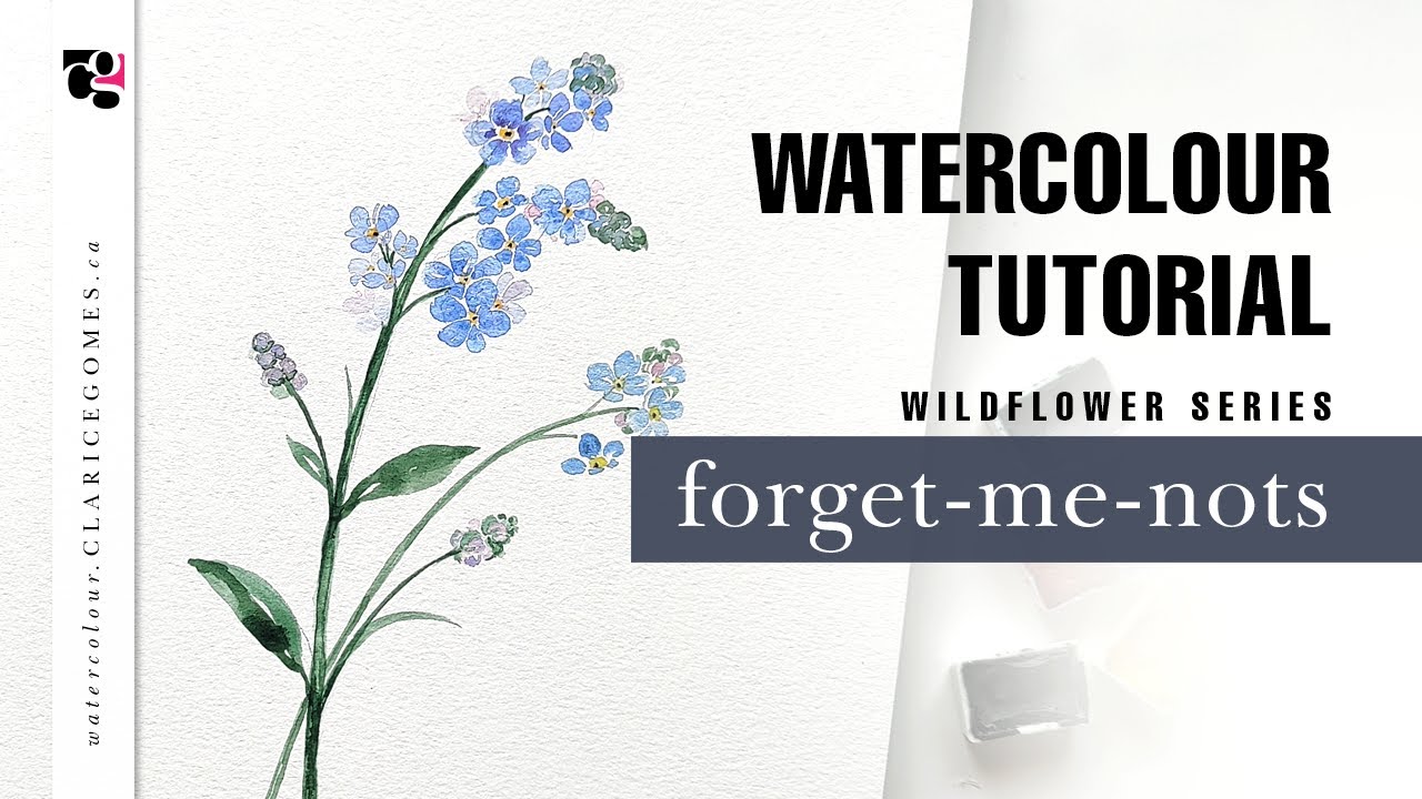 How to Paint Forget-me-nots - Loose Watercolour Wild Flowers Tutorial