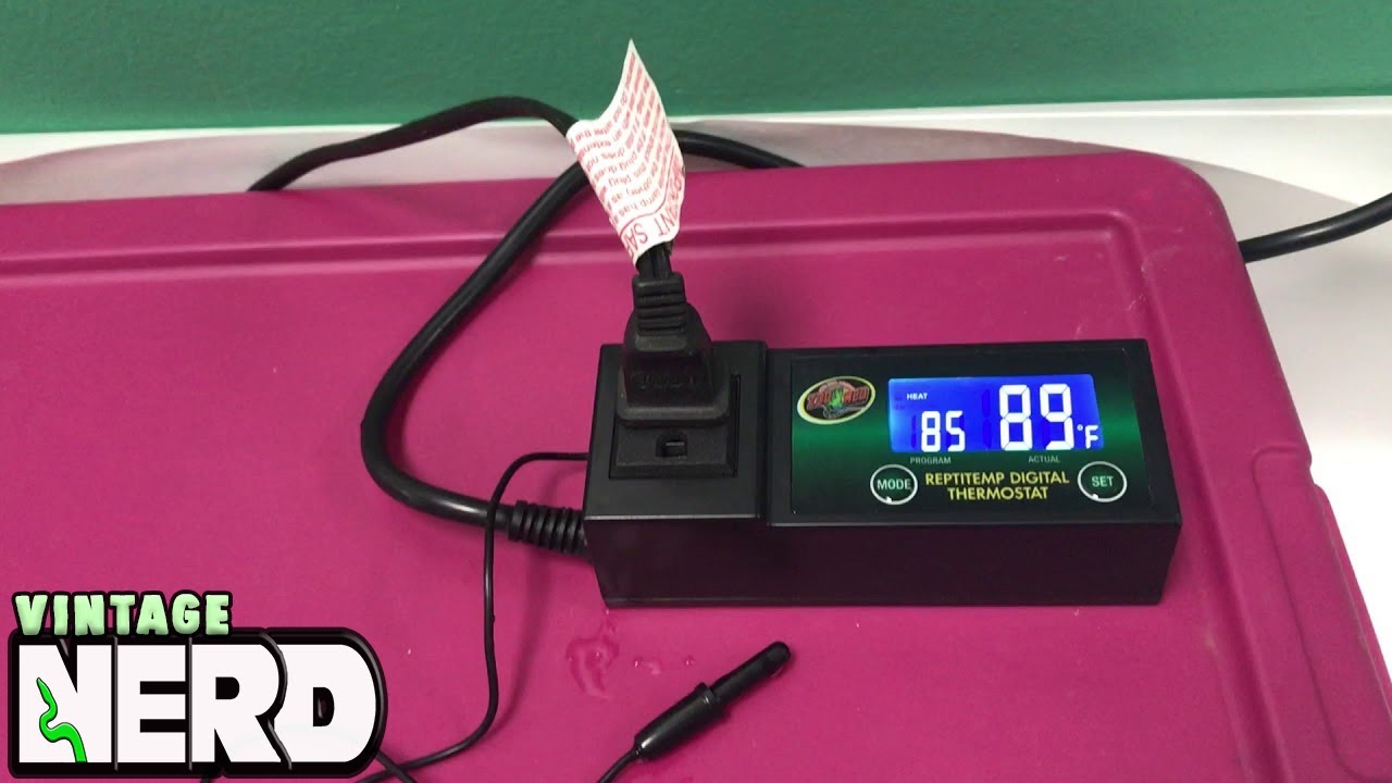 Thermostats, what do they do for reptiles? Let's review a Zoo Med Labs Thermostat!