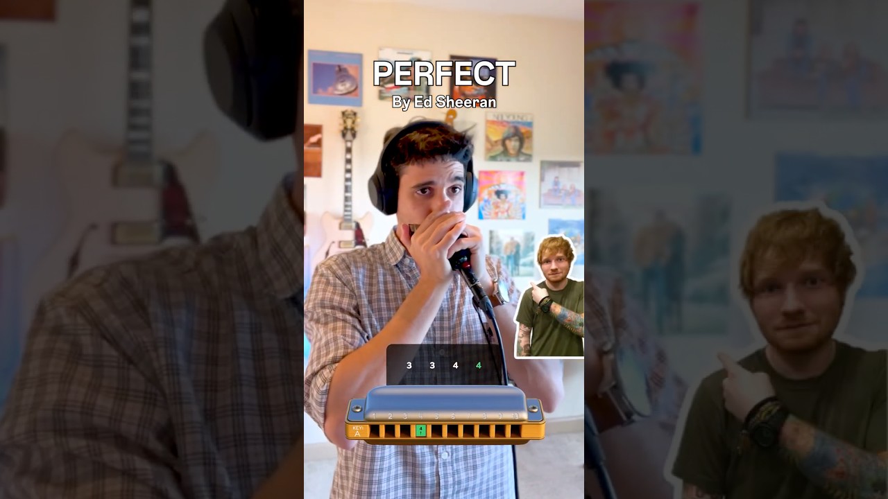 Ed Sheeran - Perfect | Harmonica TABS