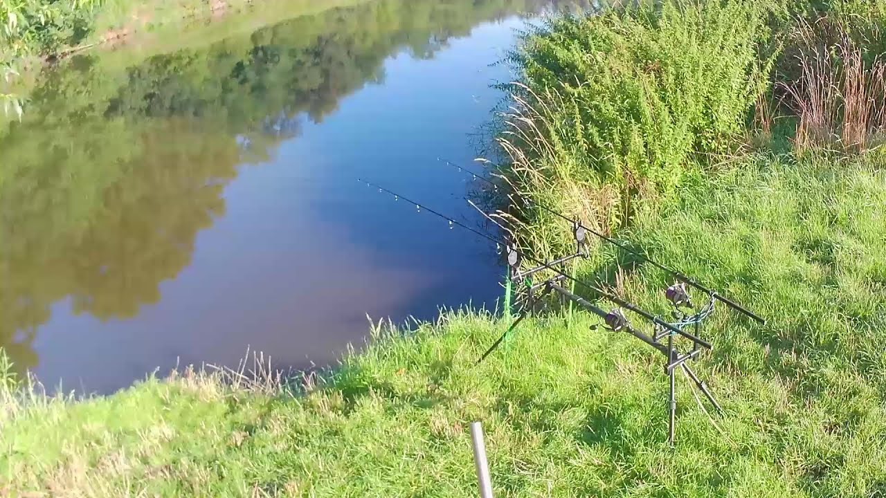 BEROUNKA RIVER svaz NEW OSOBNÍ REKORD 7dnů  SOLO #personal record#carp fishing#bushcraft adventure#