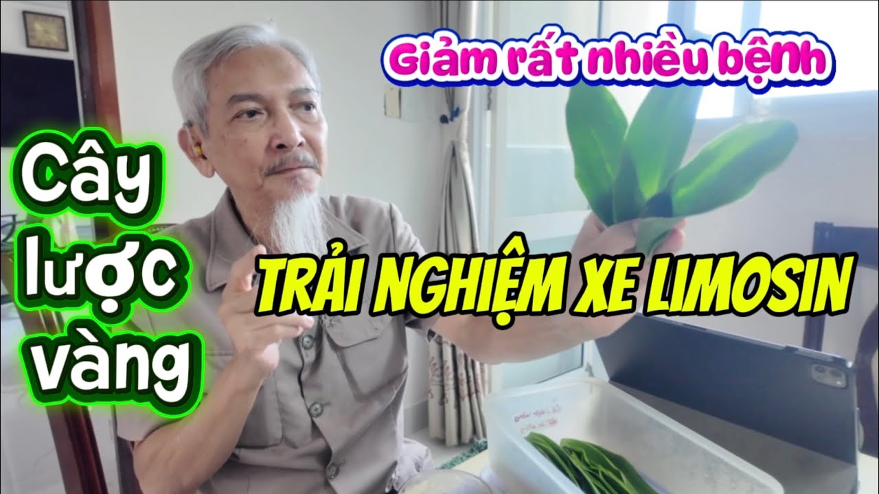 Từ Vũng Tàu về Sàigòn bằng xe Limosin