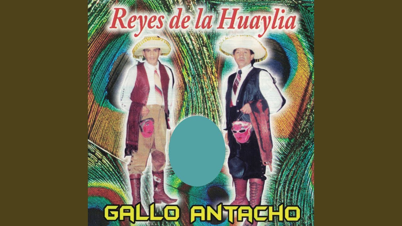 Gallo Antacho