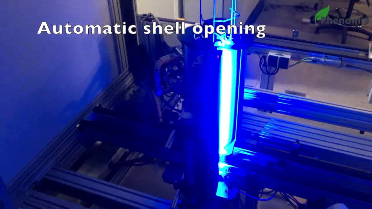 High throughput Roots phenotyping - Rhizotubes