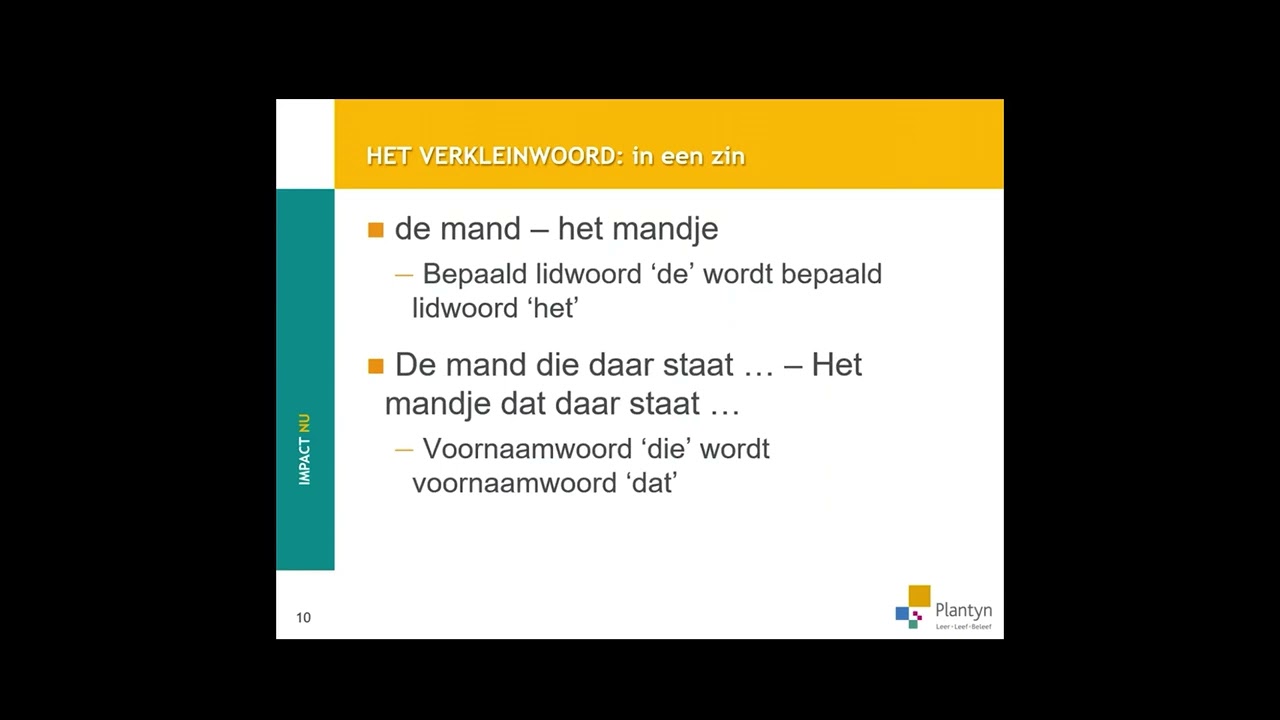 Verkleinwoorden flip de klas