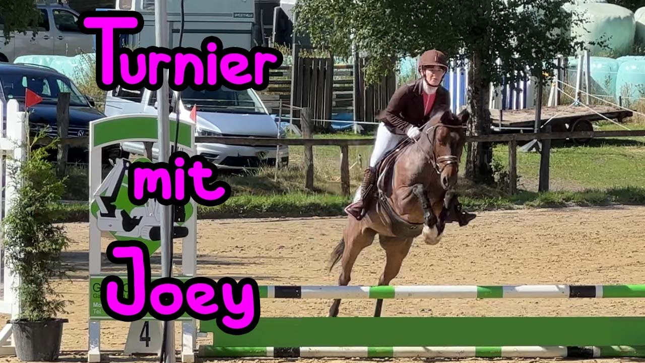 Heftige KOPFNUSS bekommen 😅🦄 Tunier mit Joey