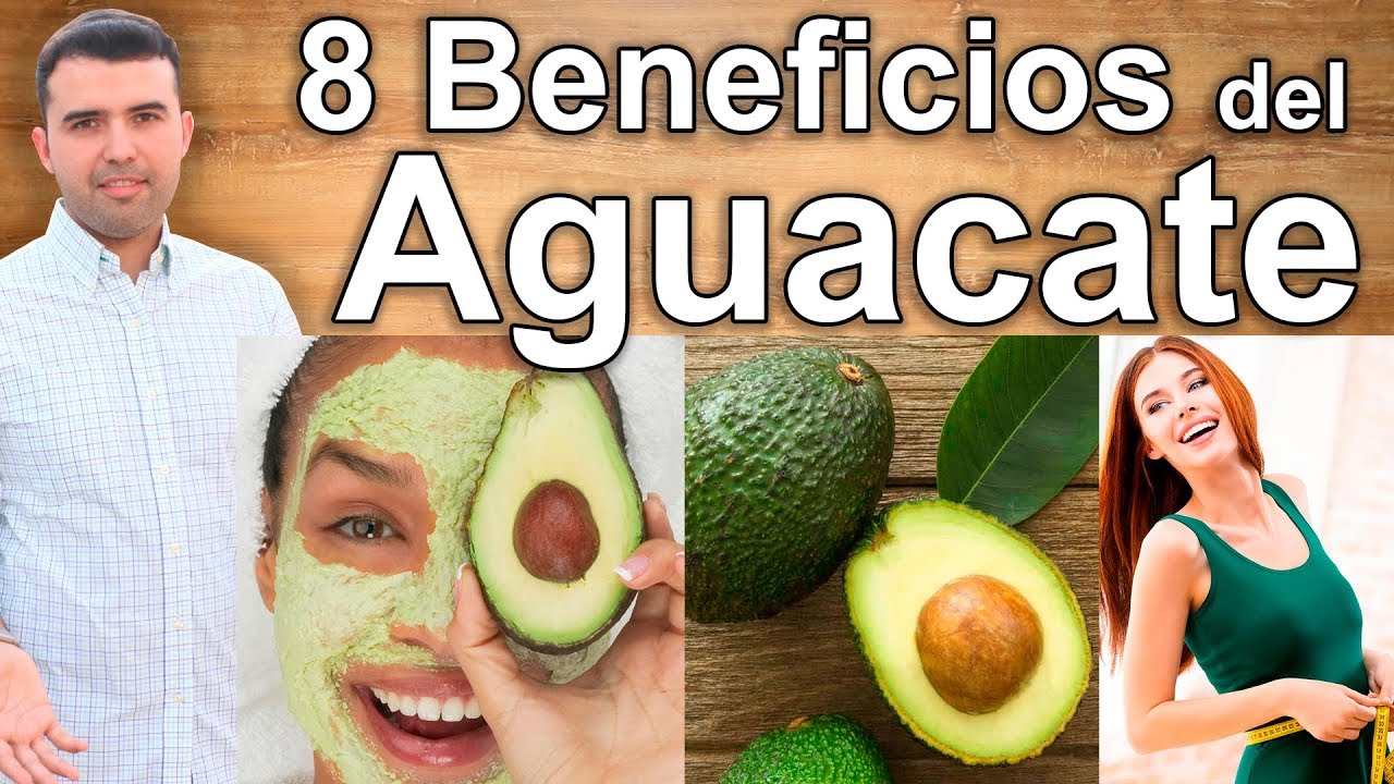 Los Beneficios del Aguacate - 8 Propiedades Curativas de la Palta Para la Salud