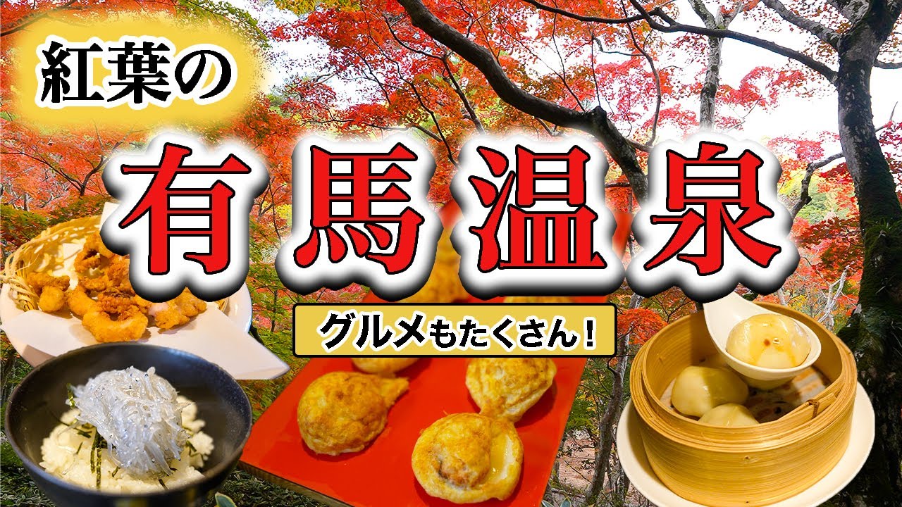 《紅葉の有馬温泉🍁》推し活ついでに子なし夫婦がぷらっと旅🚗楽しすぎるグルメが沢山🤩