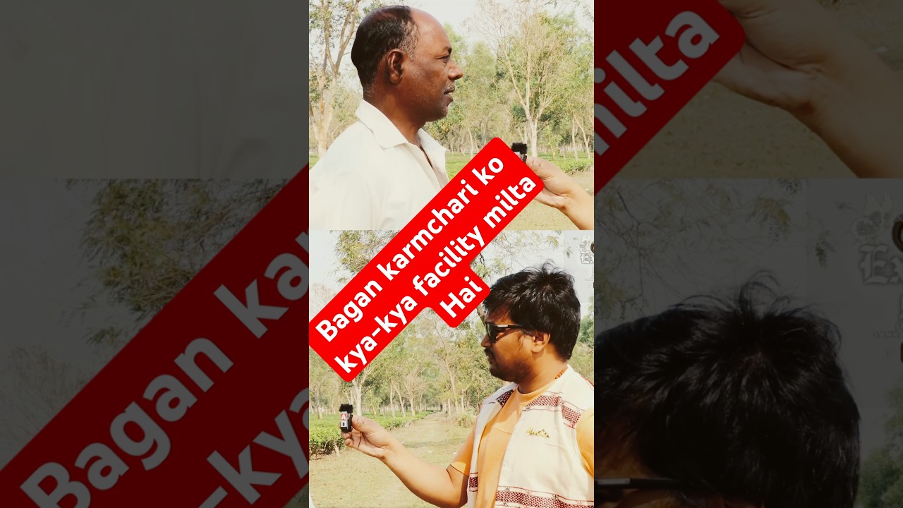 A Day in the Life of a Tea Plantation Worker