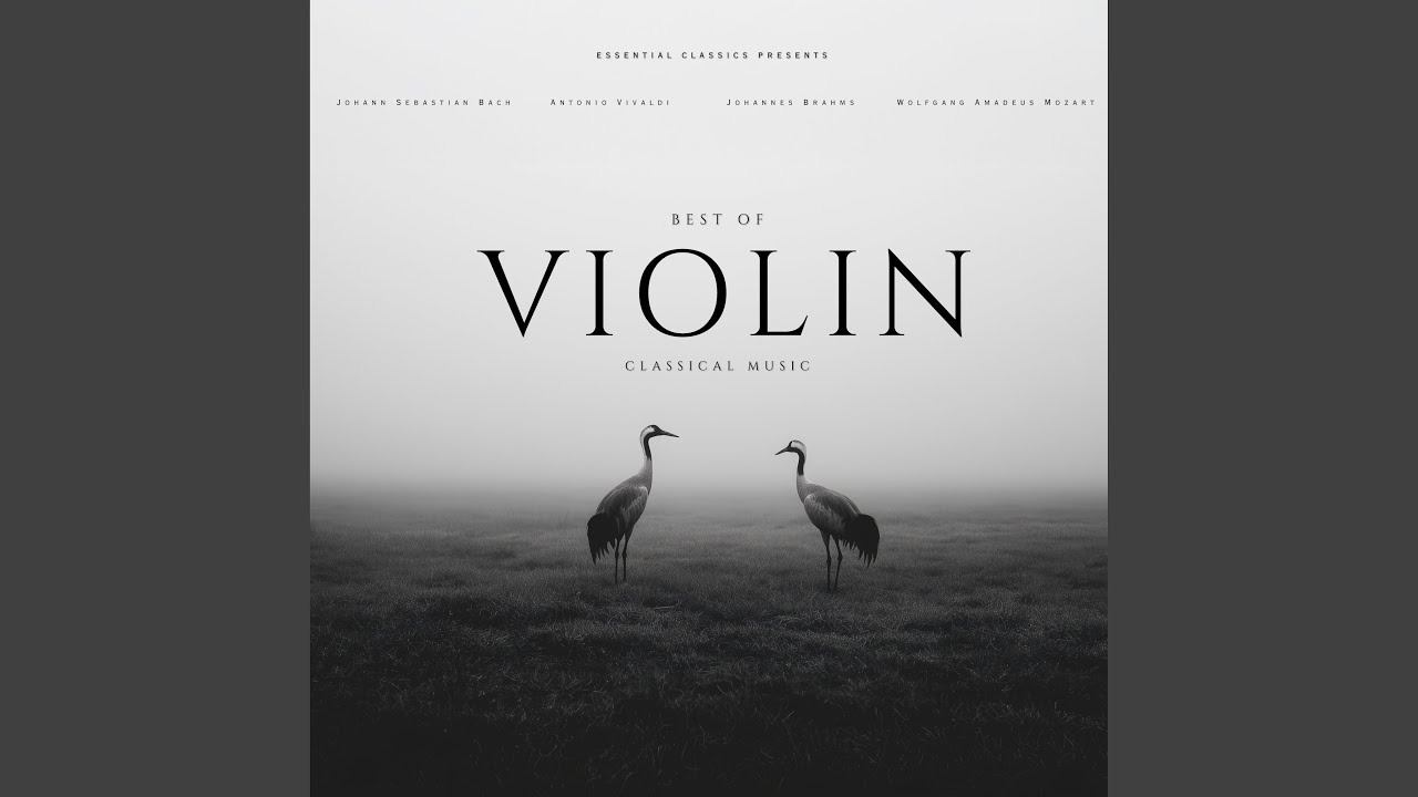 Violin Concerto No. 1 in A Minor, BWV 1041: II. Andante