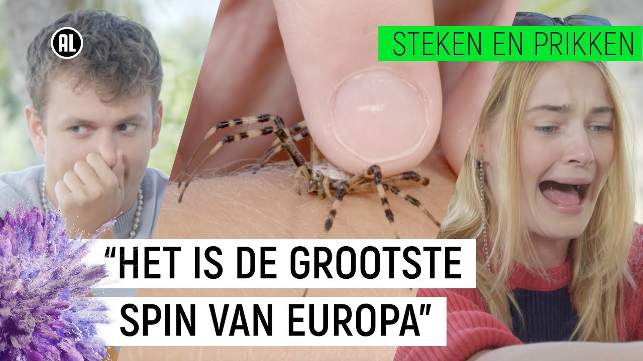 PRESENTATOR DURFT VOOR HET EERST NIET GEBETEN TE WORDEN!! | Steken en Prikken S2 #9 | NPO Zapp