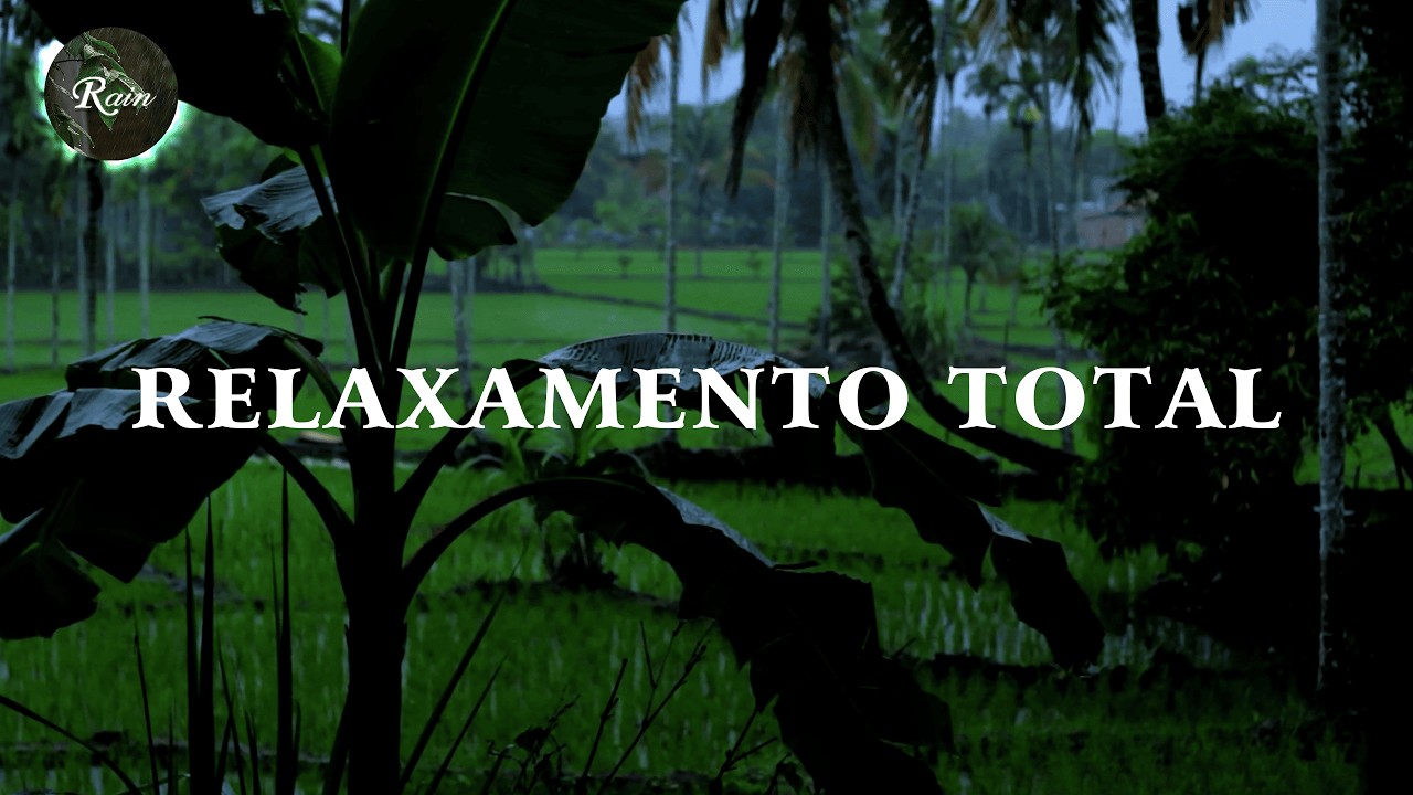 Chuva na Amazônia: Sons da Floresta Tropical Brasileira para Relaxar e Dormir 33