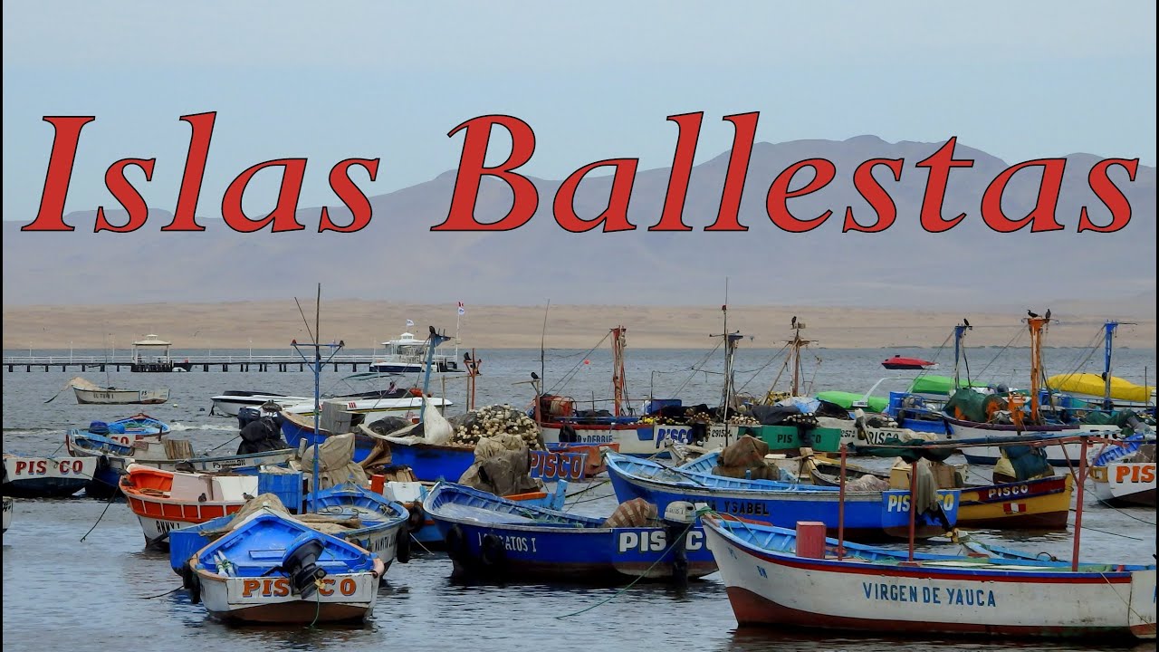 Paracas Islas Ballestas Turismo Tour