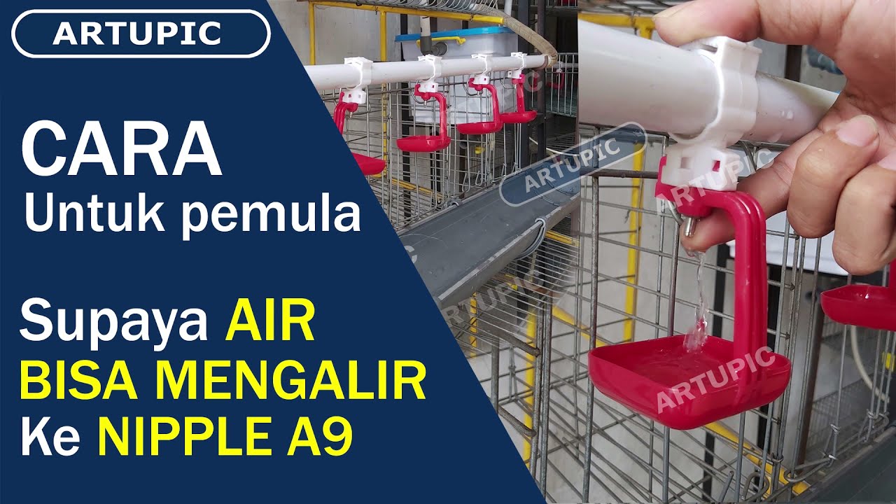Cara untuk Pemula Supaya Air Bisa Mengalir ke Nipple A9 Artupic