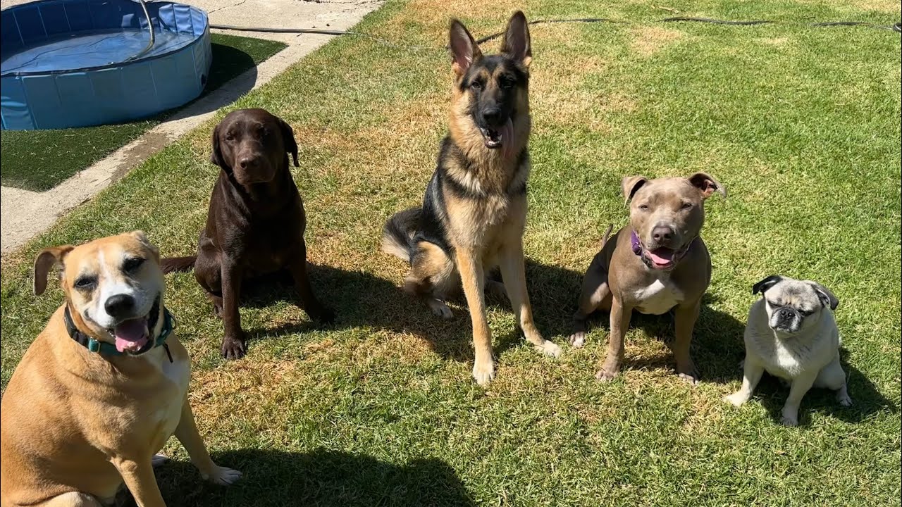 Fun In The Sun ☀️