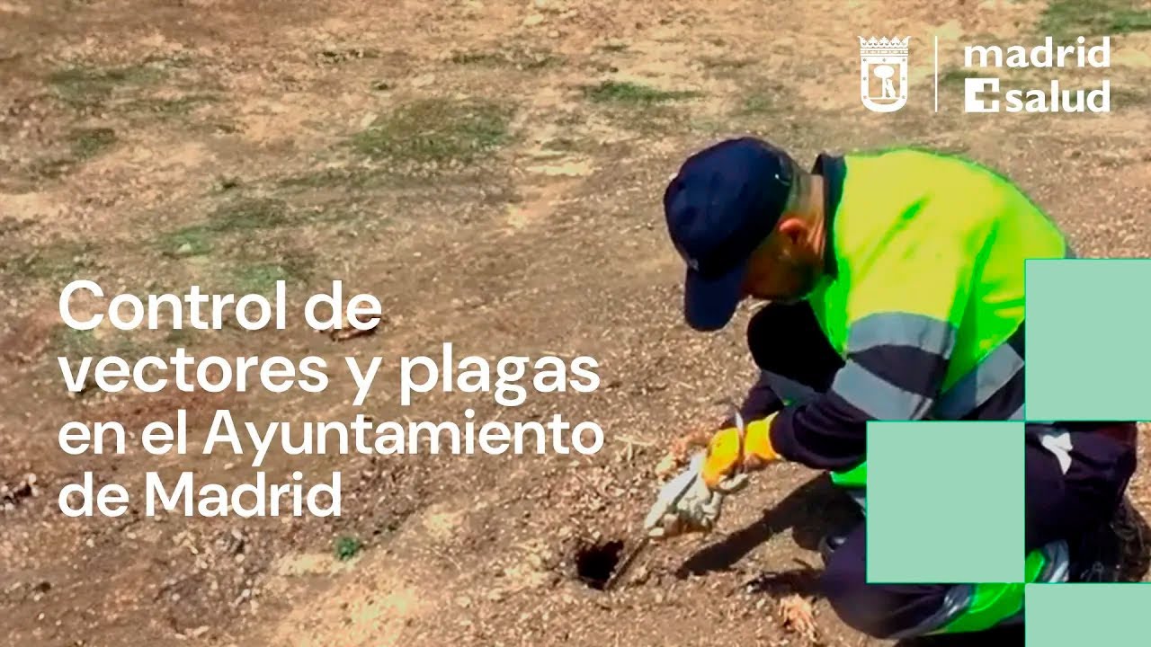 Control de Vectores y Plagas en el Ayuntamiento de Madrid