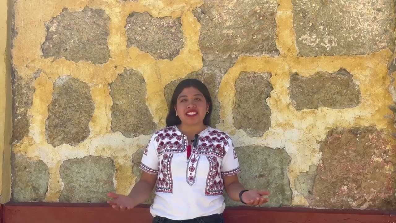 MAÍZ VIAJERA