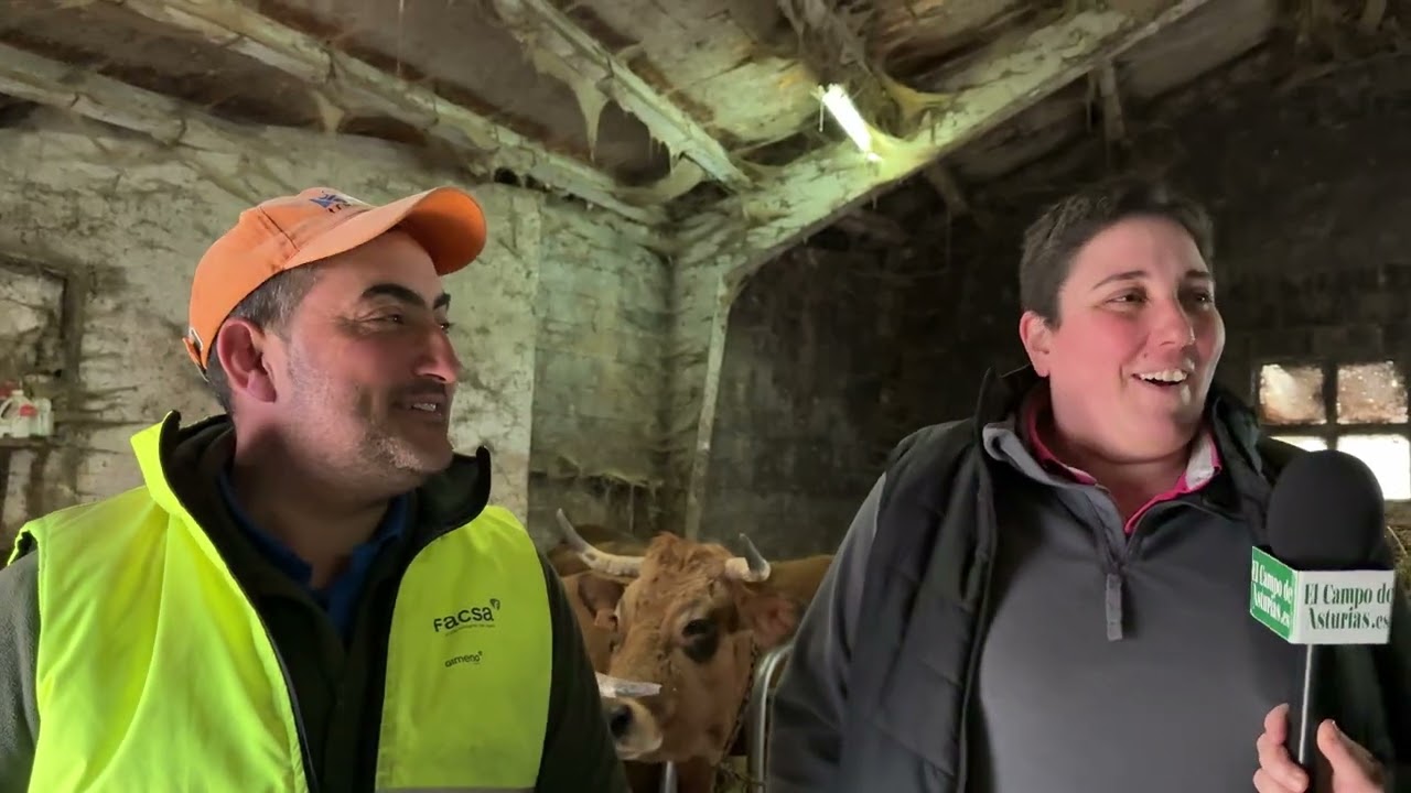 Javier y Marta de Ganadería Arnaldo Llanos de Puentecastro (Tineo). Los hermanos Higinio y Javier 
