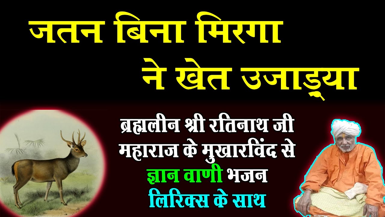 Mirga Ne Khet Ujadya || मिरगा ने खेत उजाड़्या @nathjibhajanlyrics #ratinathjimaharaj #baudham