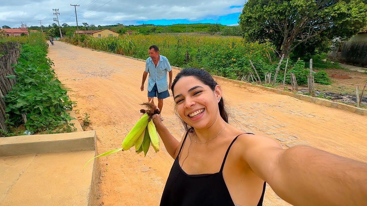 RAIMUNDO MOSTROU SUA PLANTAÇÃO E ME DEU MILHO