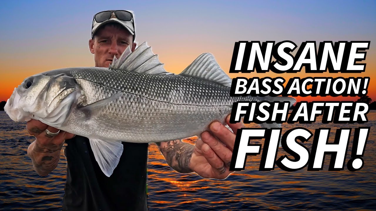 Lure Fishing For Bass Over Offshore Reefs! - The Bass Fishing Was INSANE!