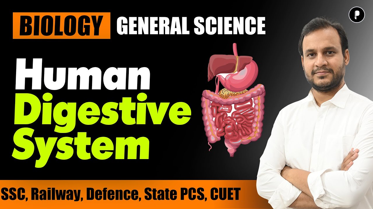 Human Digestive System | General Science | SSC Biology #parcham