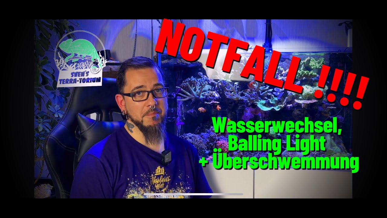 Notfall im Meerwasseraquarium! Balling Light, Wasserwechsel + Überschwemmung