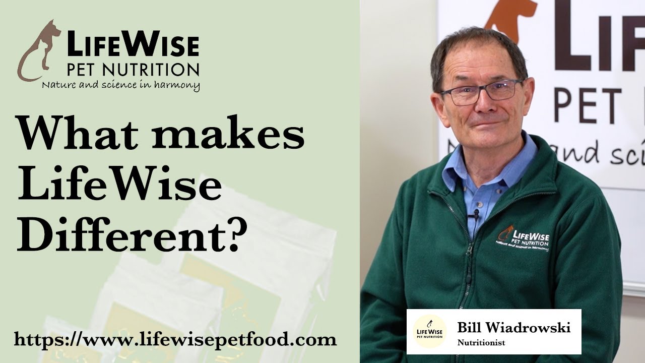 What Makes LifeWise Pet Food Different?