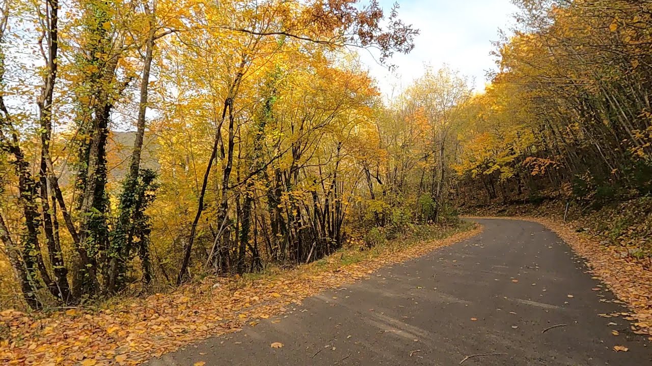 I colori dell' autunno - Dalla Valnerina a Monte San Vito.