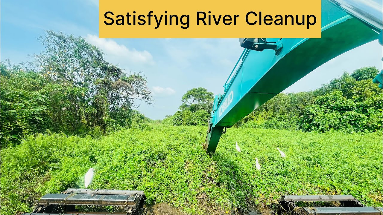Extreme Overgrown Weeds Removal Using an Amphibious Excavator | Satisfying River Cleanup 😍💪